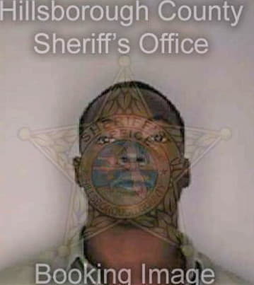 Williams Michael - Hillsborough County, FL 