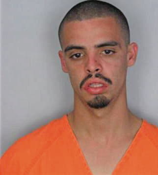 Lopez Raul - Hillsborough County, FL 