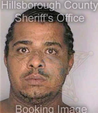 Mcintosh Thomas - Hillsborough County, FL 