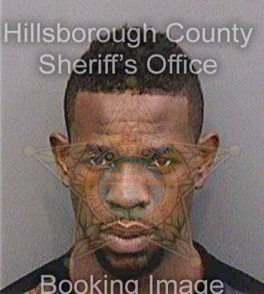 Bradshaw Antonio - Hillsborough County, FL 