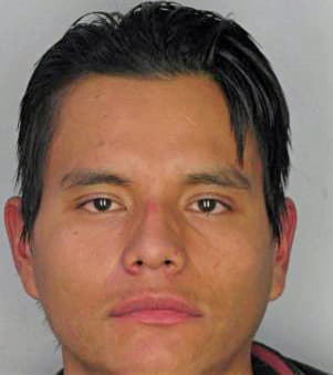 Henriquez Cesar - Hillsborough County, FL 