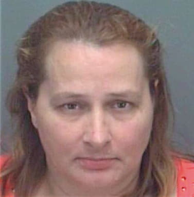 Baver Diana - Pinellas County, FL 