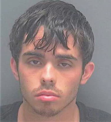 Mccarthy John - Lee County, FL 