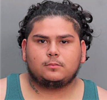 Brenes Oscar - Dade County, FL 