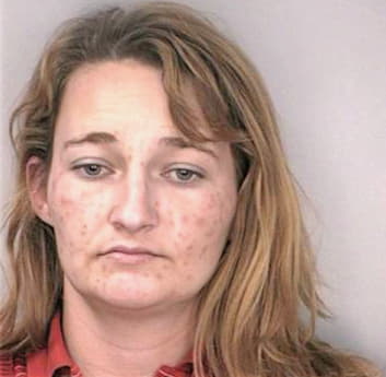 Breier Patricia - Hillsborough County, FL 