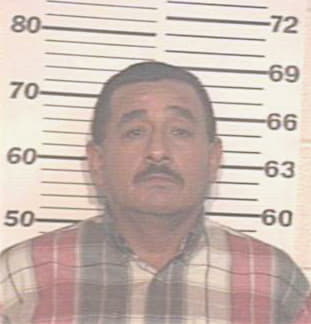 Alvarez Rene - Hidalgo County, TX 