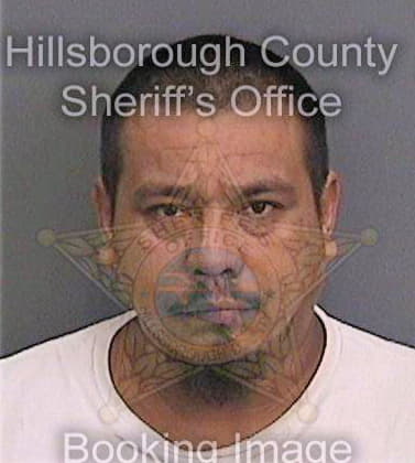Garcia Aaron - Hillsborough County, FL 