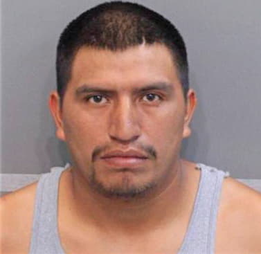 Gonzalez Arnoldo - Hamilton County, TN 