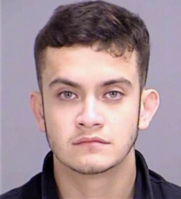 Torres Eduardo - Brazos County, TX 