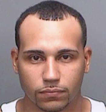 Vega Jose - Pinellas County, FL 