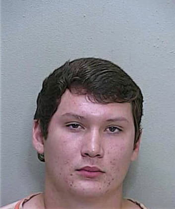Humphries Andrew - Marion County, FL 