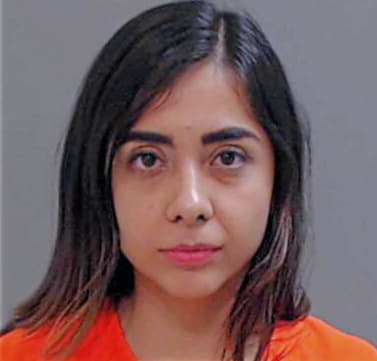 Alanis Brenda - Hidalgo County, TX 