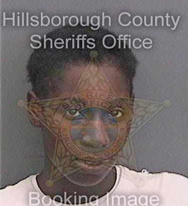 Bogan Bridgett - Hillsborough County, FL 
