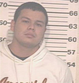 Maldonado David - Hidalgo County, TX 