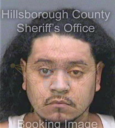 Galindez Hector - Hillsborough County, FL 