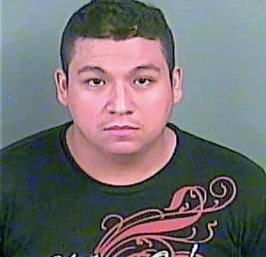 Torres-Sanchez Mariano - White County, GA 