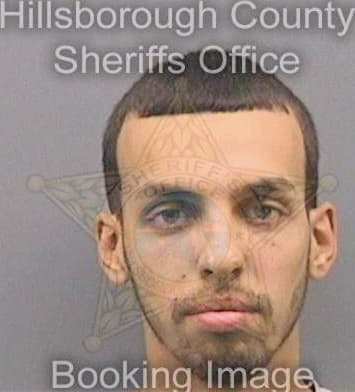 Gonzalez Michael - Hillsborough County, FL 