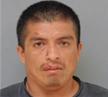 Bravo Benjamin - Madera County, CA 