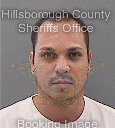 Hernandezsantos Carlos - Hillsborough County, FL 