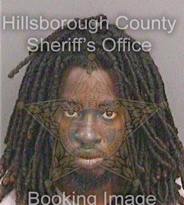 Allen Errol - Hillsborough County, FL 