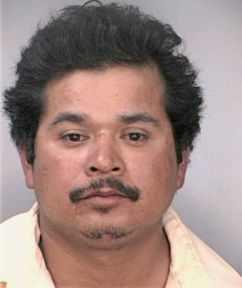 Gonzalezgomez Jorge - Hillsborough County, FL 
