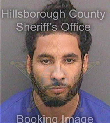 Pena Jose - Hillsborough County, FL 