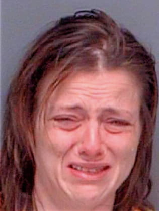 Frechette Lana - Pinellas County, FL 