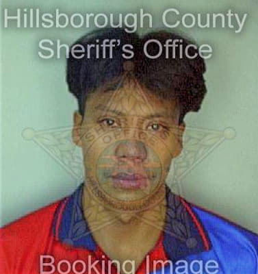 Silva Gabriel - Hillsborough County, FL 