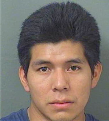 Sandovalramirez Mynor - PalmBeach County, FL 