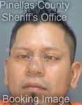 Hernandez-Angeles Omar - Pinellas County, FL 