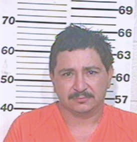 Alaniz Artemio - Hidalgo County, TX 