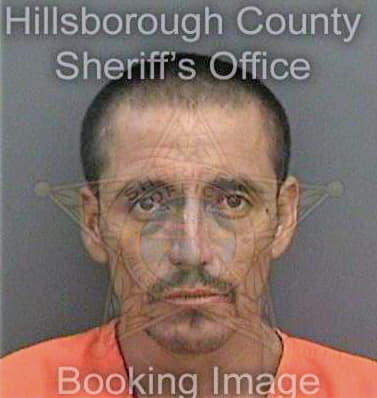 Lozanoarriaga Carlos - Hillsborough County, FL 