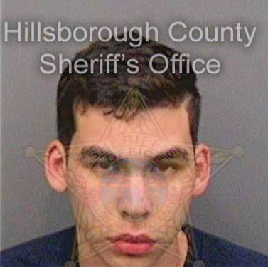 Sanchez Eddie - Hillsborough County, FL 