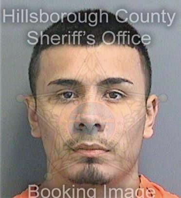 Aguilar Leonel - Hillsborough County, FL 