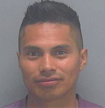 Sebastian Nicolas - Lee County, FL 