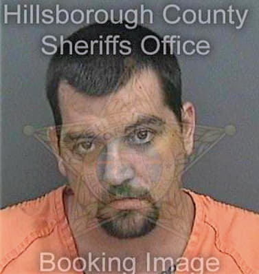 Litvinchyk Brandon - Hillsborough County, FL 