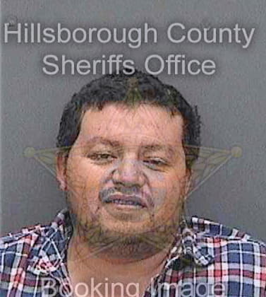 Ramirez Damian - Hillsborough County, FL 