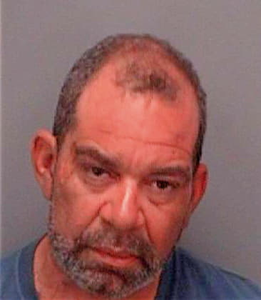Dejesus Eldon - Pinellas County, FL 