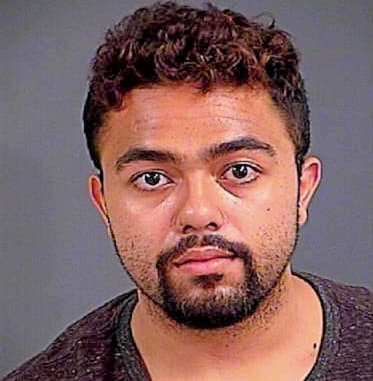 Martinez Pedro - Charleston County, SC 