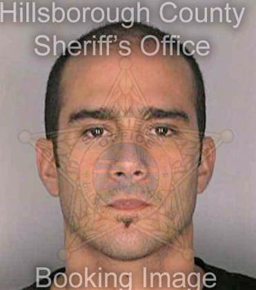 Santiago Gustavo - Hillsborough County, FL 