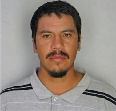 Flores Ismael - Hillsborough County, FL 