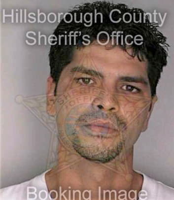 Sepulveda Luis - Hillsborough County, FL 