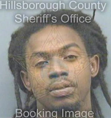 Clemons Shaver - Hillsborough County, FL 