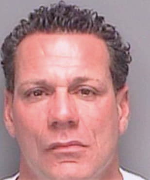 Angelini Louis - Pinellas County, FL 