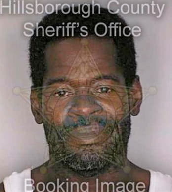 Goldman Timothy - Hillsborough County, FL 