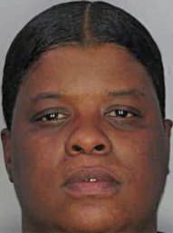 Johnson Bridget - Hillsborough County, FL 