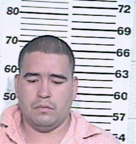 Adame David - Hidalgo County, TX 
