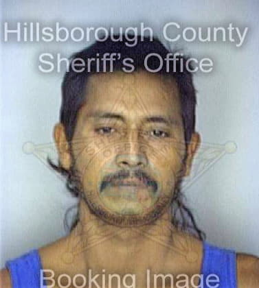 Ramirez Enrique - Hillsborough County, FL 