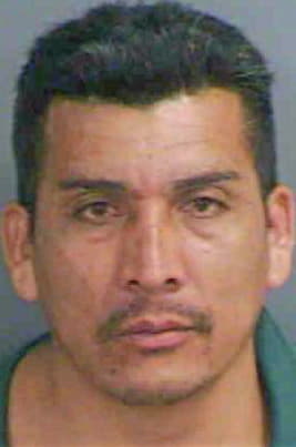 Rodriguez-Garcia Juan - Collier County, FL 