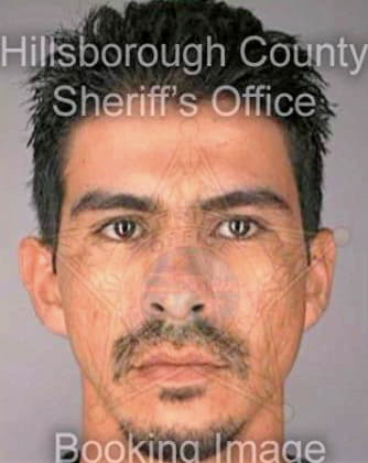 Romo Juan - Hillsborough County, FL 